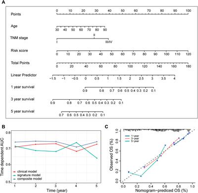 Identification of Extracellular Matrix Signatures as Novel Potential Prognostic Biomarkers in Lung Adenocarcinoma